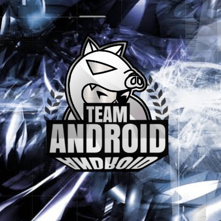 AVALON Gaming TEAM &RD